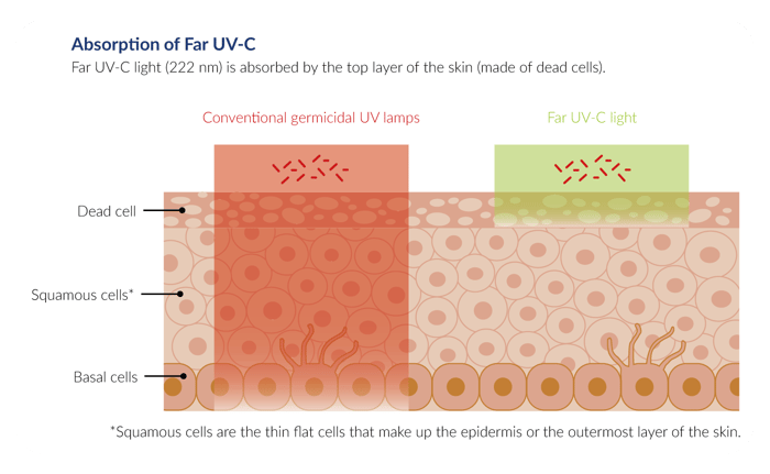 Far-UV-C-absorption-WH