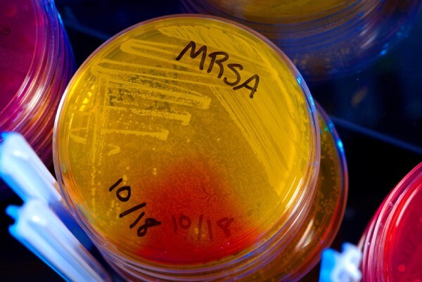 denmark_mrsa_7may2014_apimages